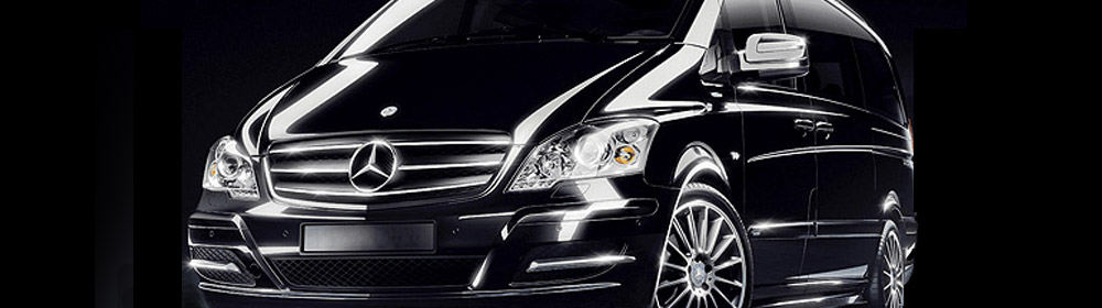 Transfer Roma: Motorista Privado